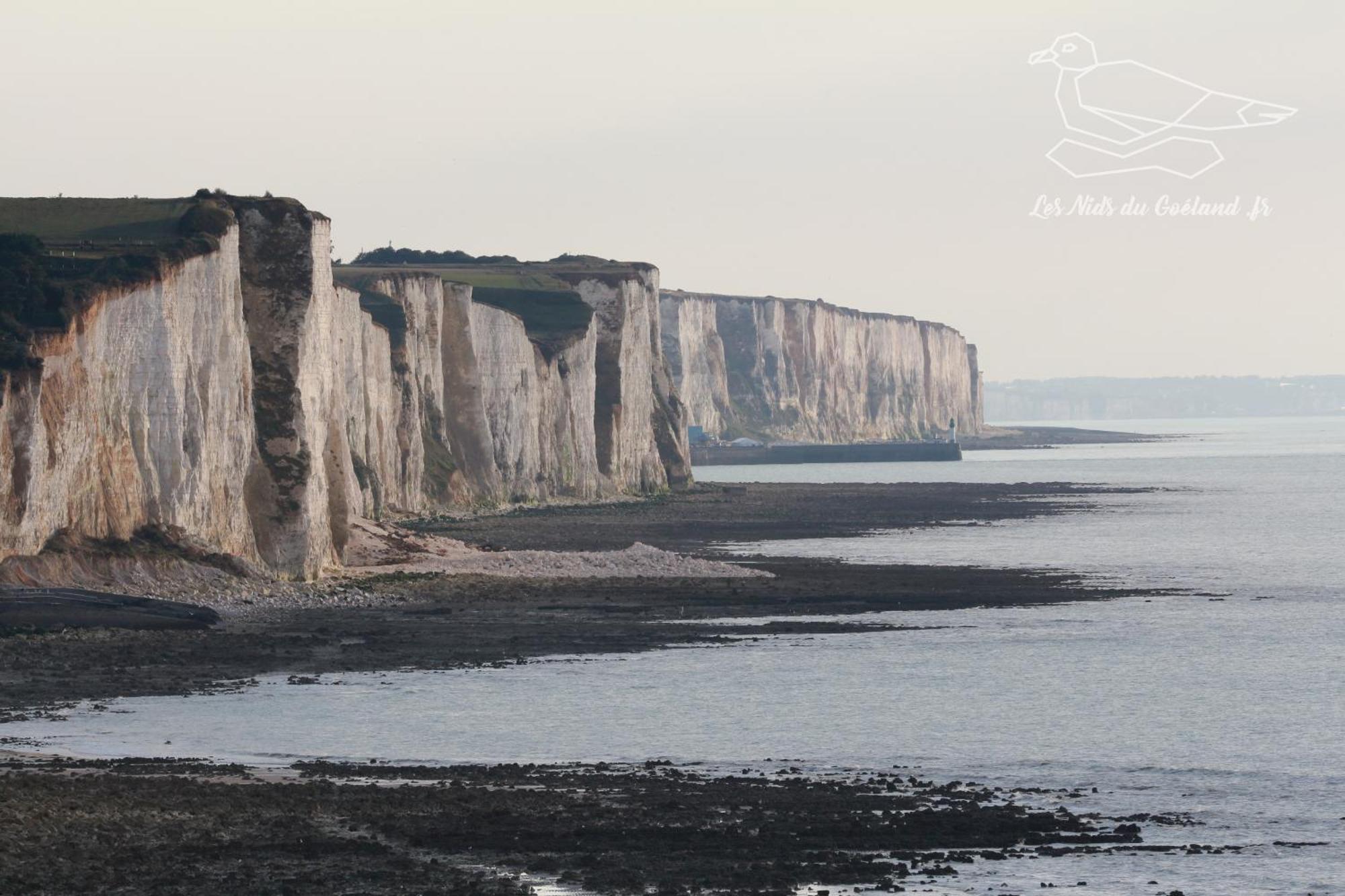 Gite Oasis Ault - Cine, Balneo & Confort A La Mer Exterior foto